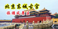 女淫阴蒂视频欧美中国北京-东城古宫旅游风景区